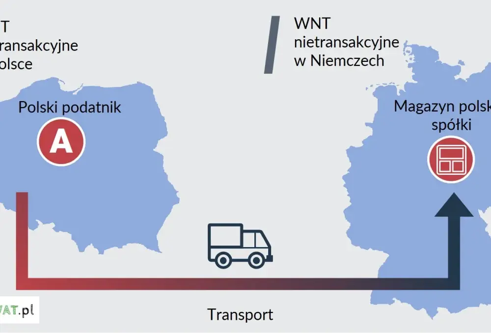 Eksport czy WDT? Kluczowe różnice i jak uniknąć błędów VAT