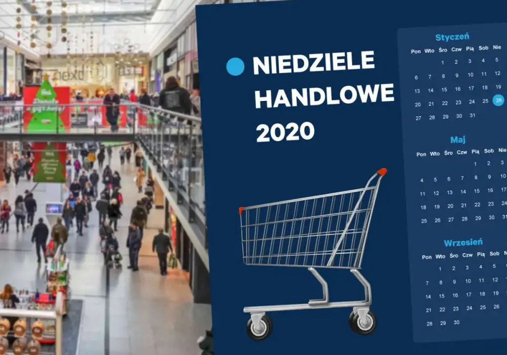 Niedziele niehandlowe: Czy warto kupić RTV online? Sprawdzamy!