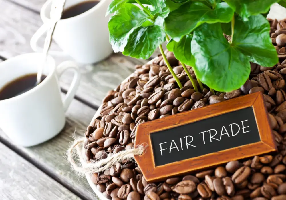 Korzyści Fair Trade: Dla producentów i sprzedawców. Zyskaj!