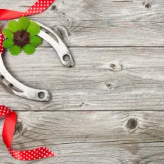Podkowa i czterolistna koniczyna to klasyczne symbole tego, co można dać na szczęście. Czerwona wstążka dodaje uroku.