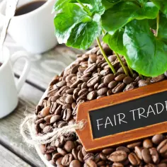 Ziarna kawy i filiżanki z kawą, z tabliczką "FAIR TRADE". Handel sprawiedliwy to korzyści dla producenta i sprzedawcy, zapewniając godne warunki i ceny.