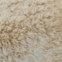 Miękka, falująca wełna merino. Zastanawiasz się, czy warto inwestować w odzież termoaktywną z wełny merino? To naturalne ciepło i komfort.