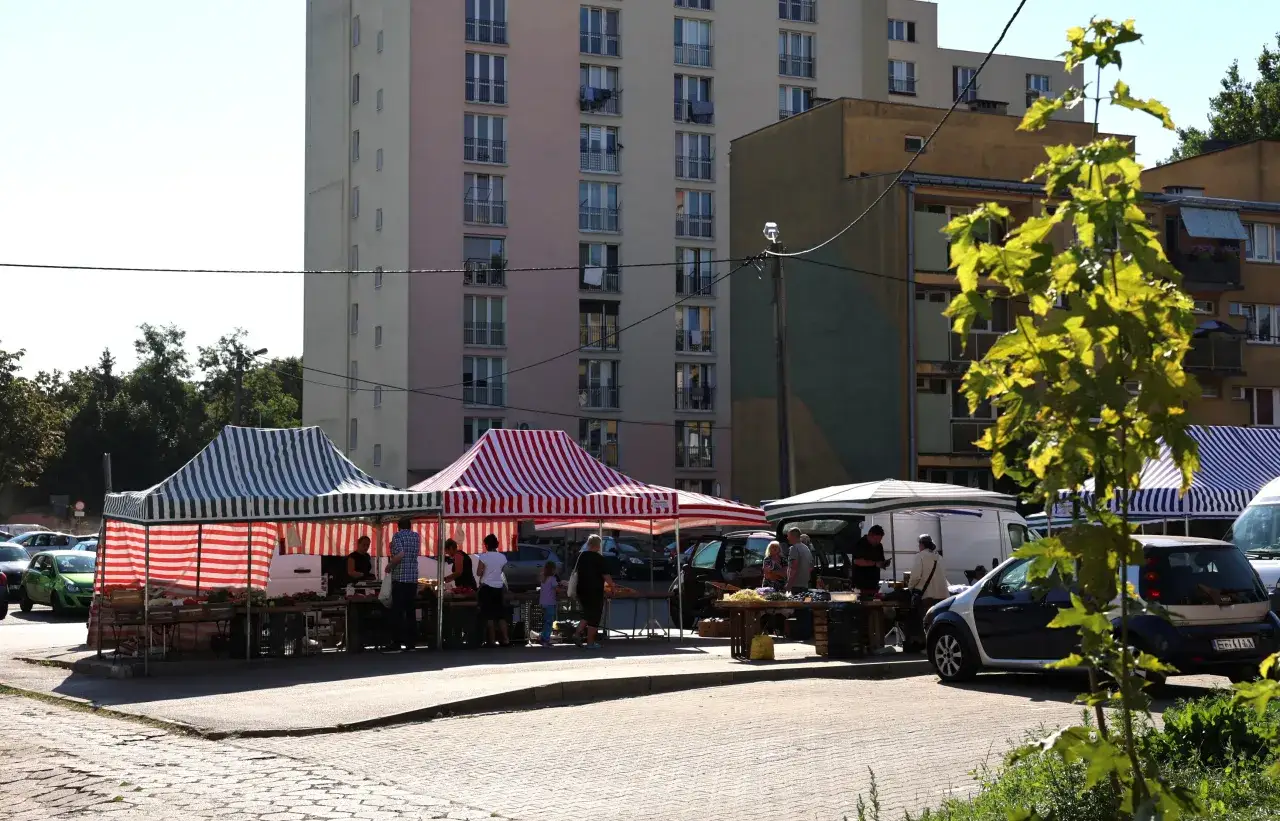 Targowisko miejskie: poznaj zasady handlu, opłaty i wymogi. Ludzie kupują warzywa pod kolorowymi namiotami.