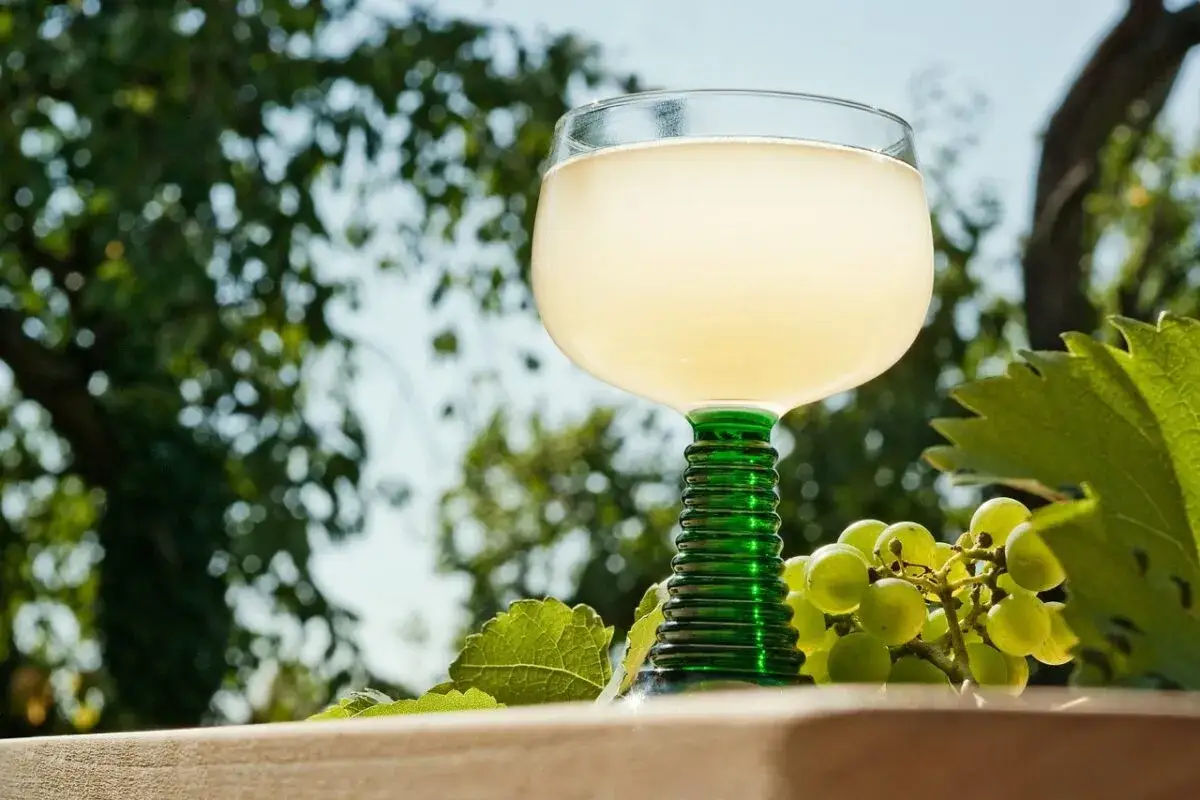 Wiedeński muscat, winogrona i zielona łodyga kieliszka. Idealne, by pomyśleć, co przywieźć z Wiednia.