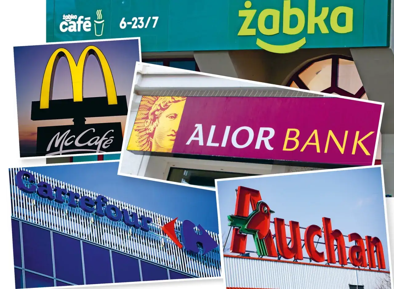 Różnica między franczyzą a własną marką w handlu detalicznym: logo McDonald's, Żabka, Carrefour, Auchan, Alior Bank.