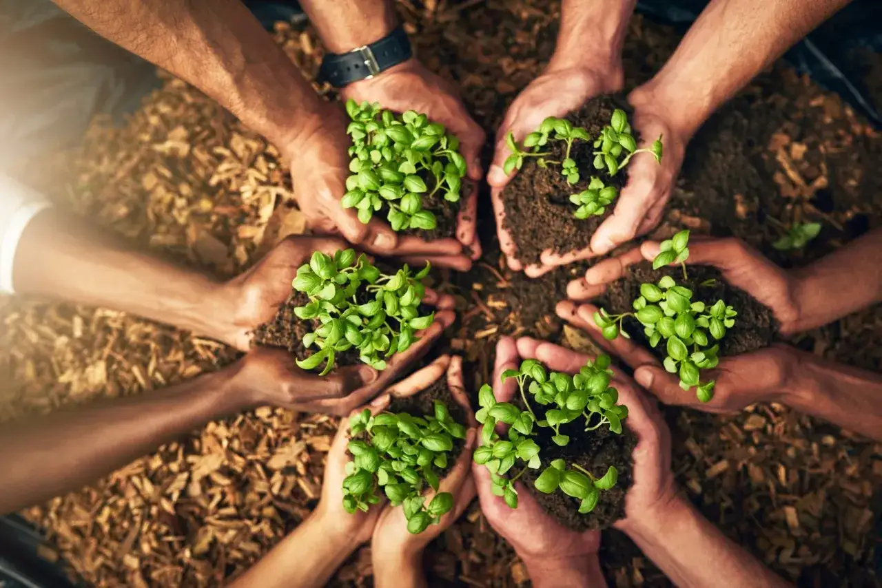 Różne dłonie trzymają sadzonki. Wyjaśnia to przyczyny wysokich marż na produkty bio i eko w sklepach, gdzie cena odzwierciedla troskę o naturę.