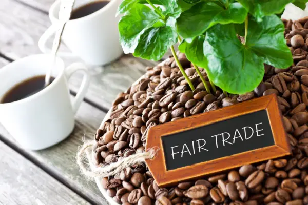 Korzyści Fair Trade: Dla producentów i sprzedawców. Zyskaj!